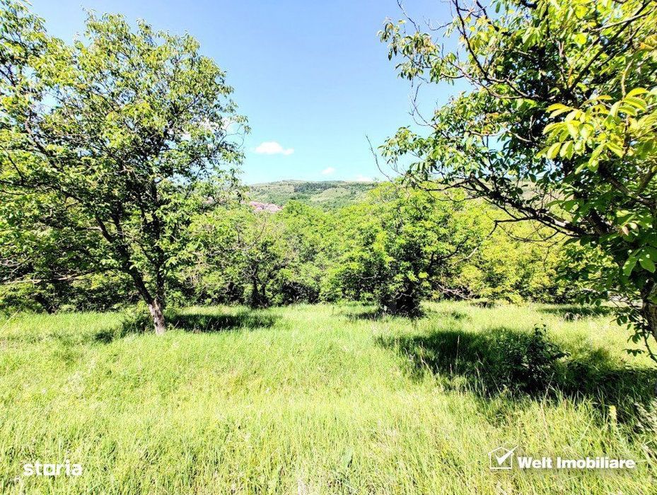 Teren intravilan pentru constructie imobil, Suceagu