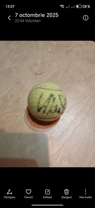 Minge tenis semnată Victor Hanescu 2013.