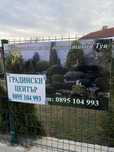 Декоративни ТУИ  ..ПРОМОЦИЯ..