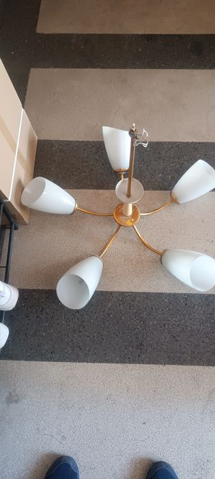 Полилеи 2 броя стар 60/70 см