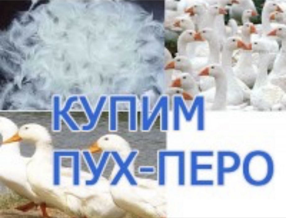 Пух перо гусиное утиное