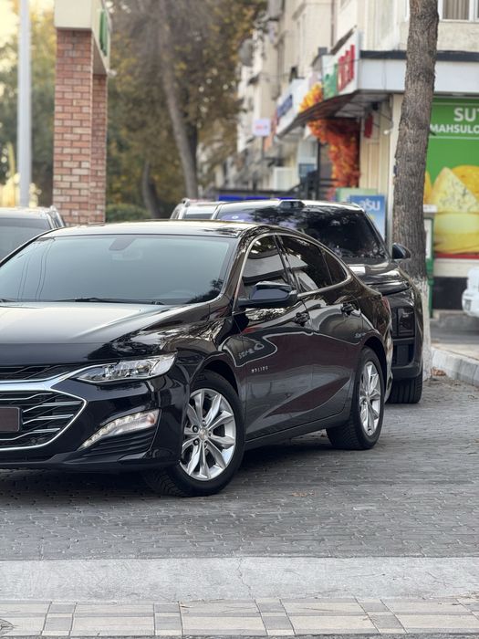 Malibu preimer 2022 tinu tozza moshina