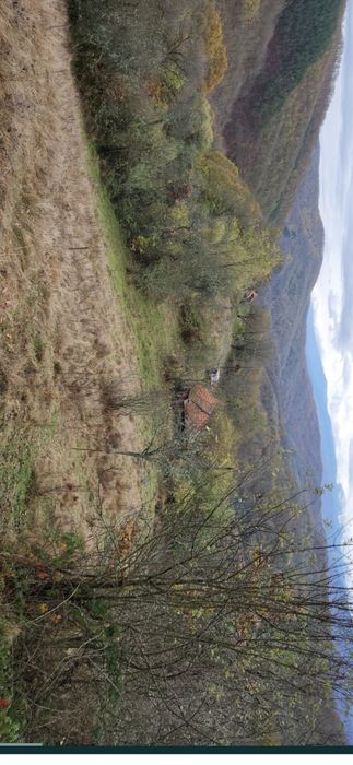 Vand casa batraneasca cu teren si padure