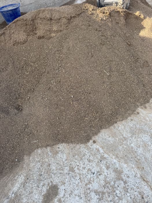 Chirigan gung poru sotiladi