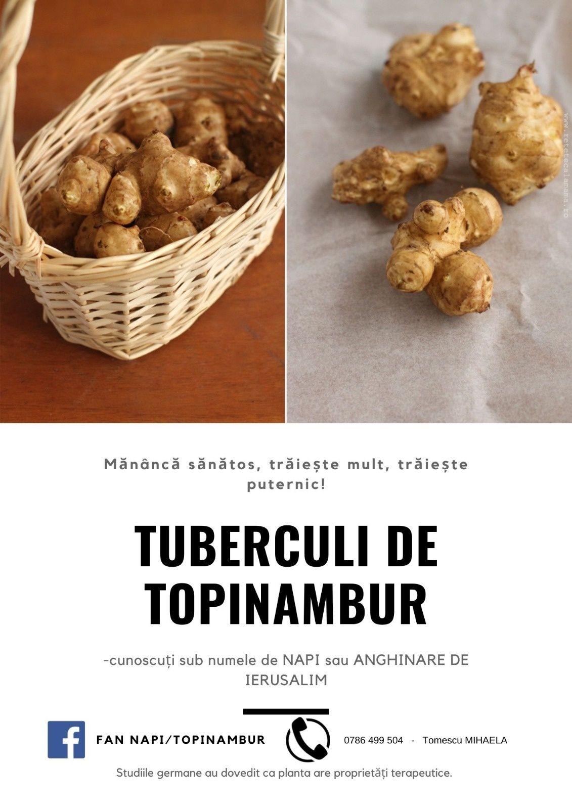 TOPINAMBUR BIO /napi de vanzare