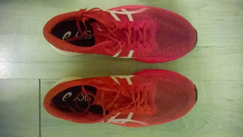 Asics Metaspeed Sky+ номер 44