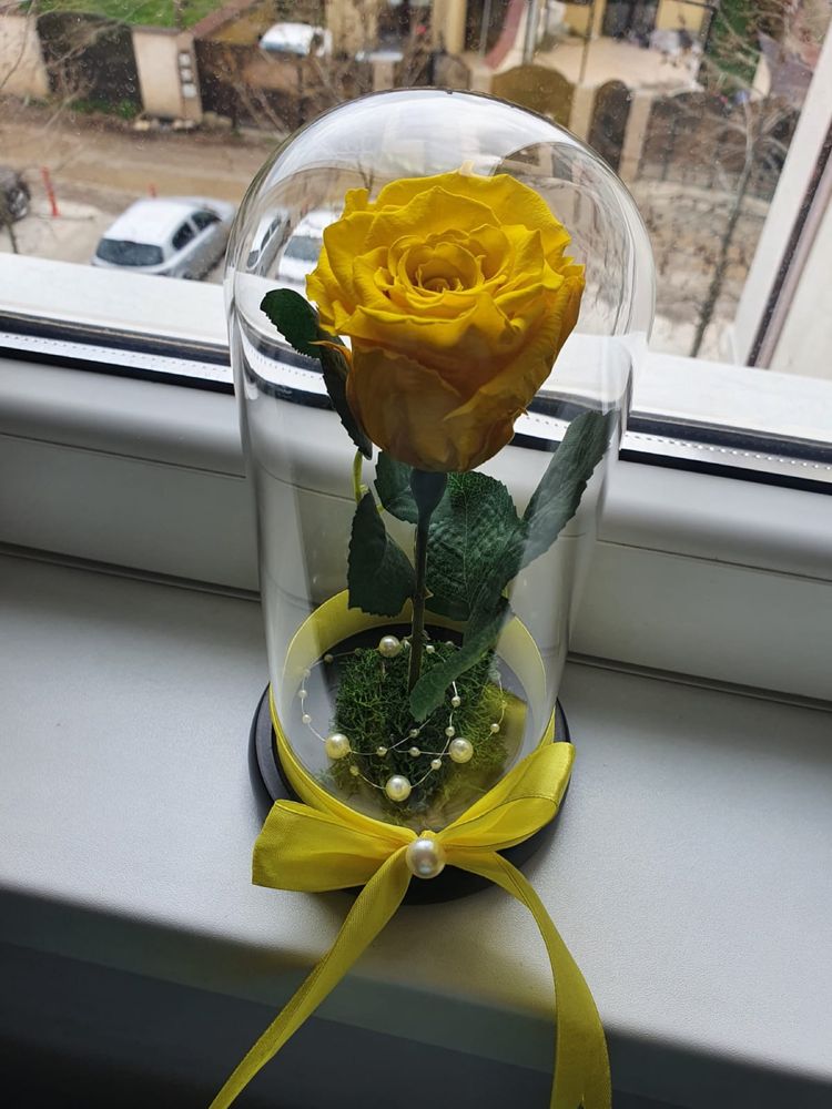 Trandafir galben criogenat conservat in cupola de sticla