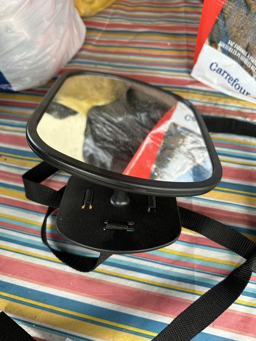 Scaun rear facing Axkid Minikid 2.0