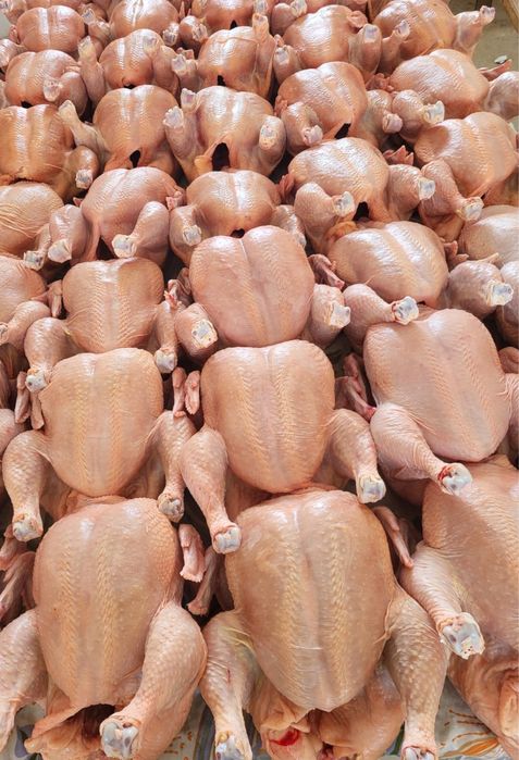 Продам куриное мясо