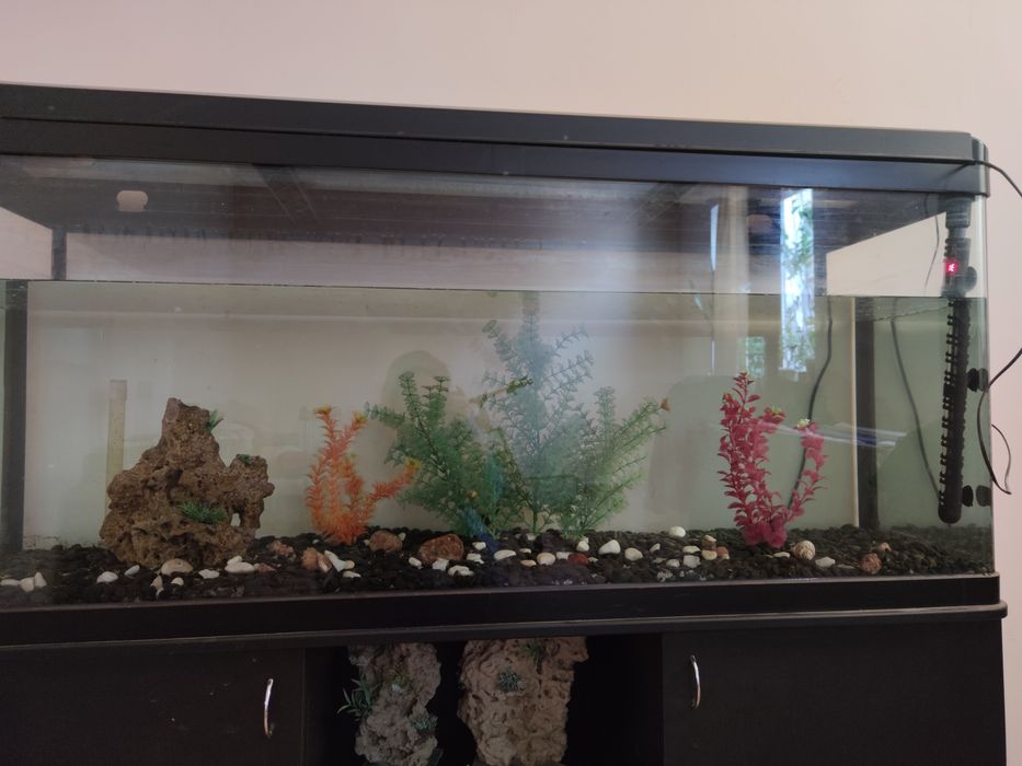 Продам аквариум 450 л