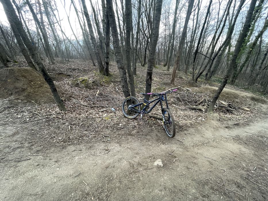 NS FUZZ 27,5 DH колело