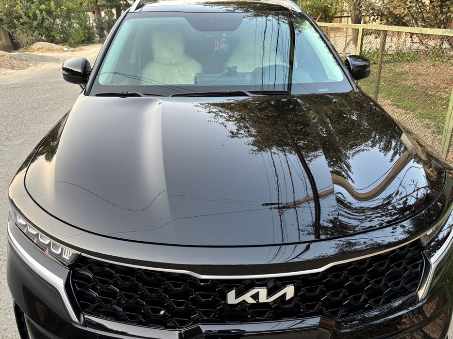 Kia sprinting 2022