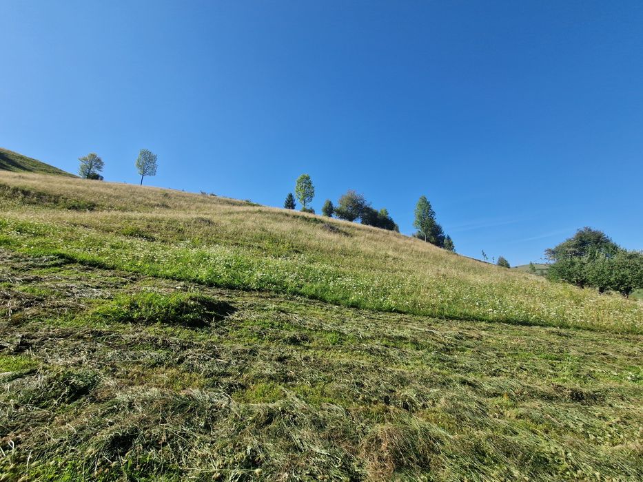 Teren 3,3 hectare intravilan + extravilan, Ilva Mare