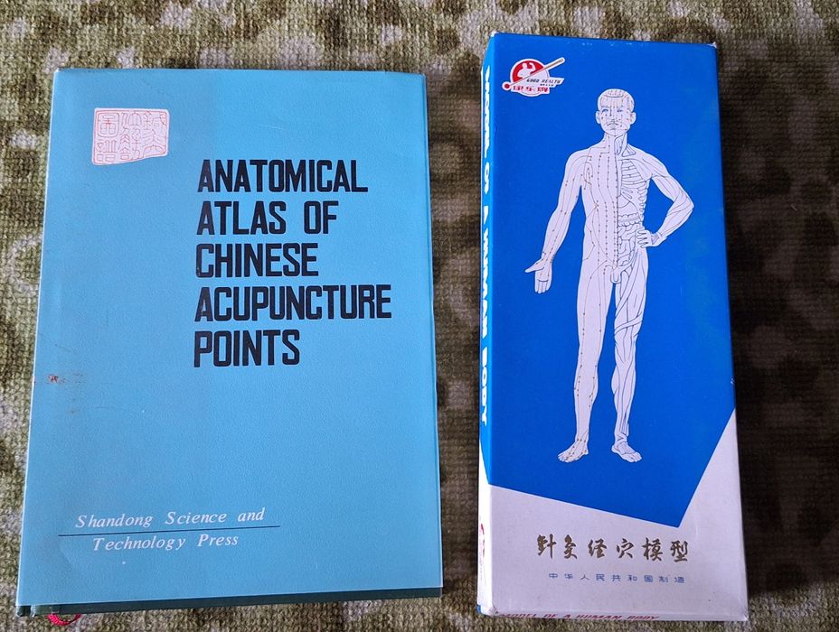 Set invatre acupunctura