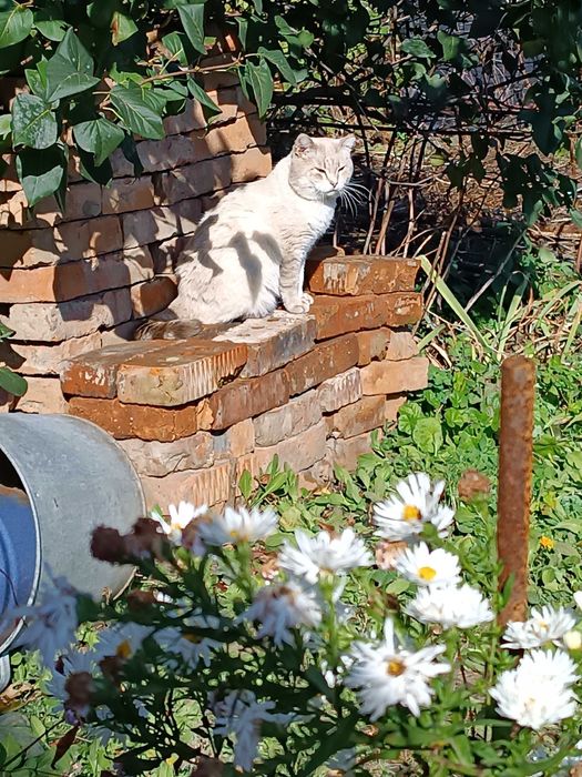 !!!СПАС ЖИЗНЬ Кто то…