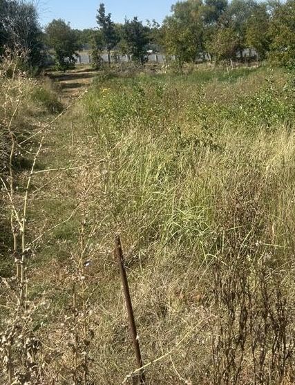 Teren Paleu 647 mp toate utilitatile la marginea proprietatii