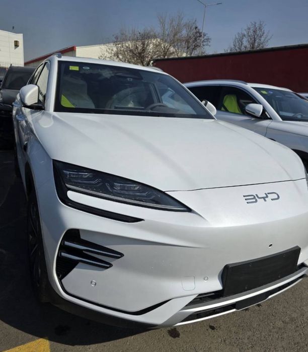 BYD Chempion smart 2026