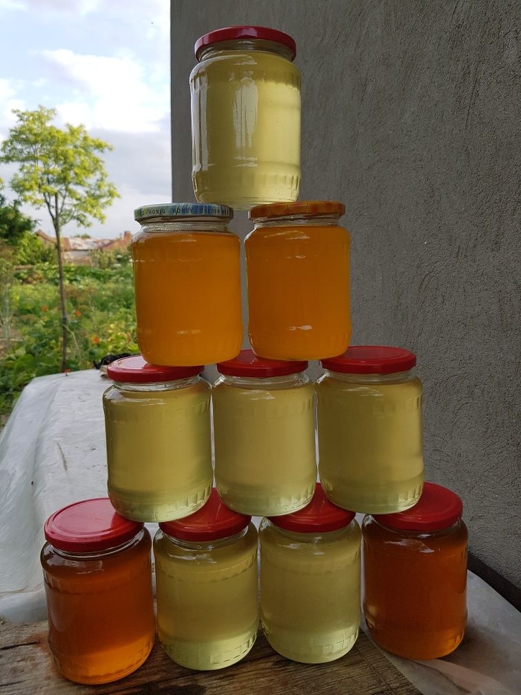 miere albine de foarte buna calitate