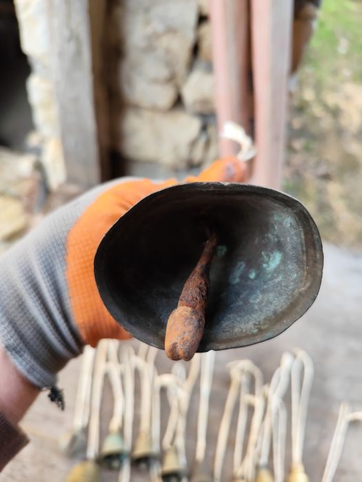 Камбанки и звънец