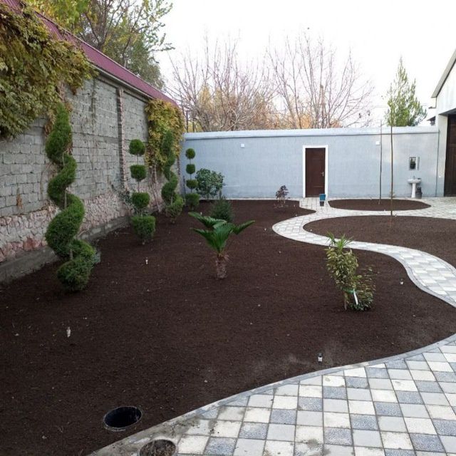 Gazon xar xil köchatla mavjut