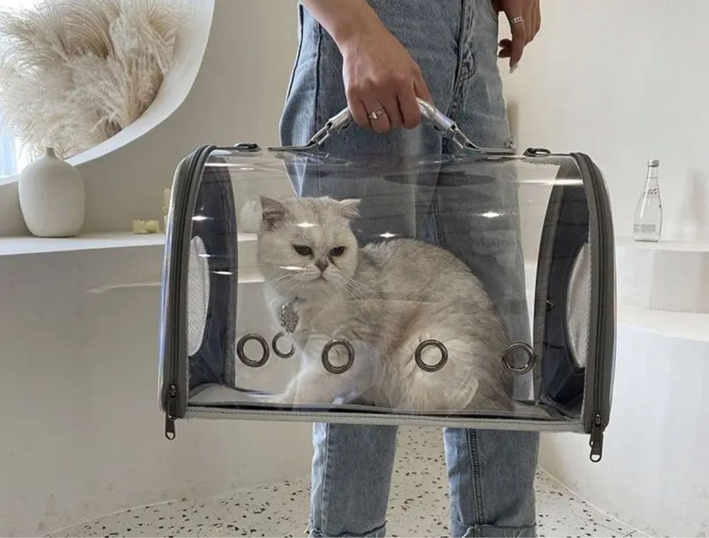 Прозрачная переноска для кошек