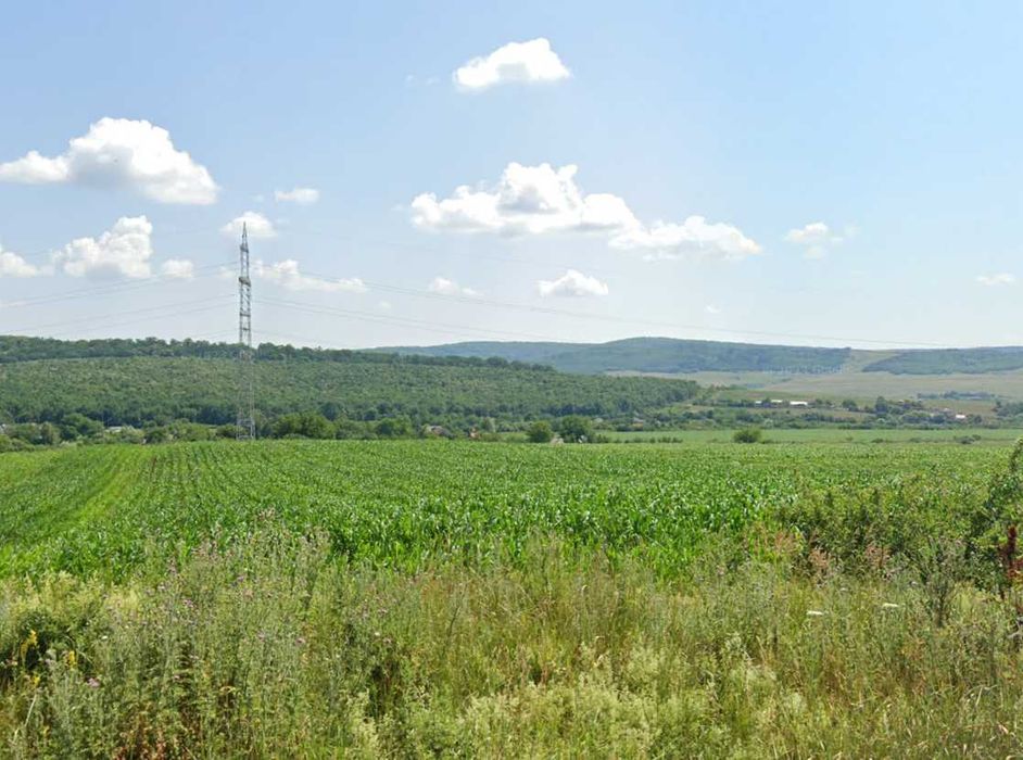 10.000 m2 TEREN la DJ 248  IS-VS - 22 km distanta de IS