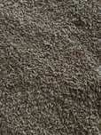 Vand triticale 2025