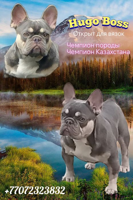 ВЯЗКА шикарный мальчик