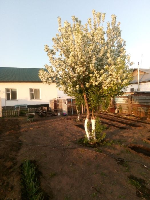 Дом  42- Разъезд