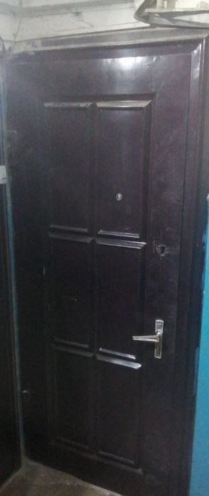 Дверь металическоя  подездная