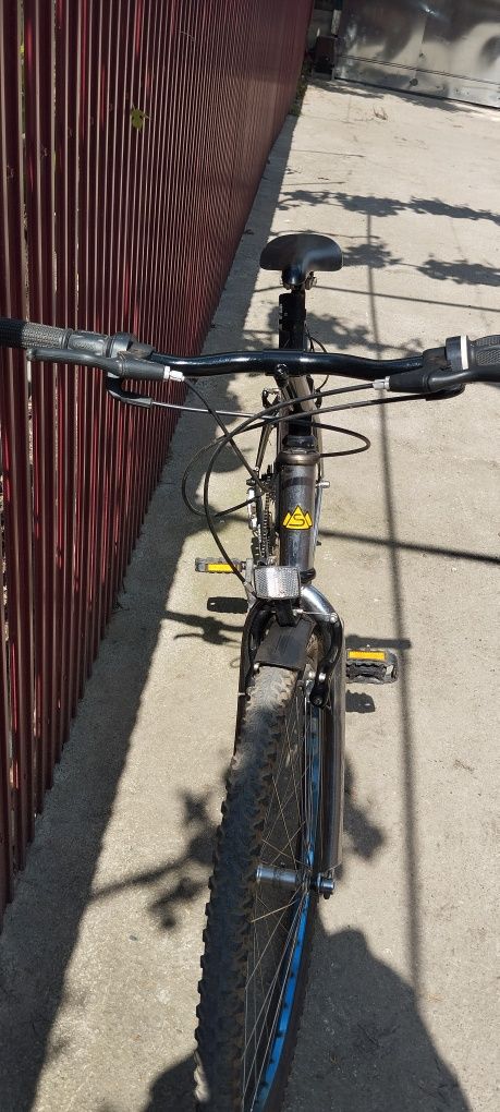 Bicicleta Bărbați