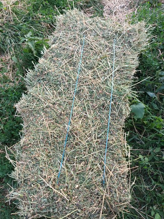 Baloti lucerna coasa2si3