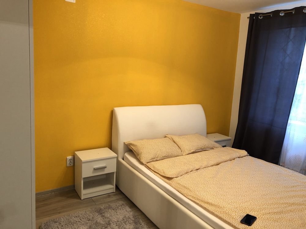 Apartament cu 3 camere in regim hotelier, Baile Govora