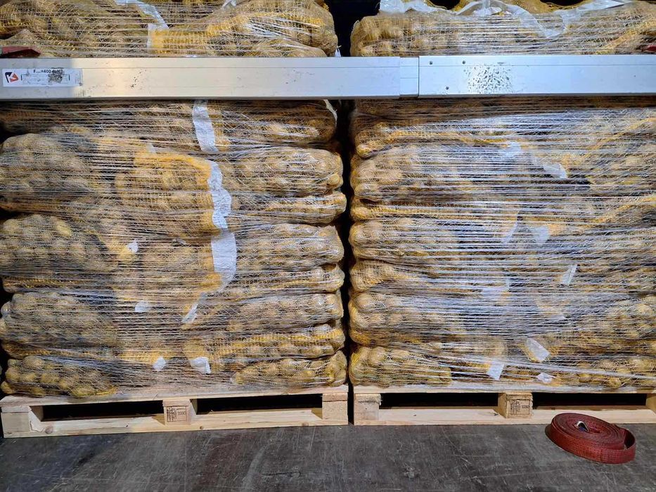 Продавам едри картофи за консумация, сорт Сорая