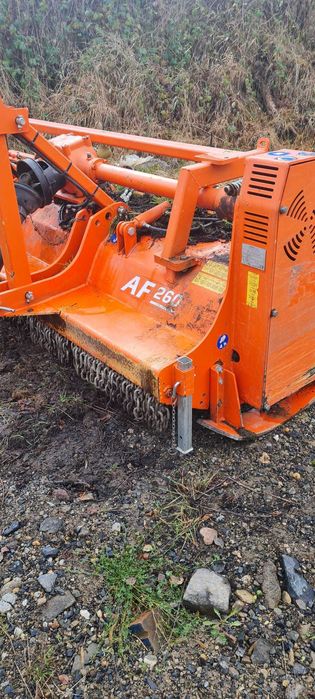 vind doua tocatori forestiere