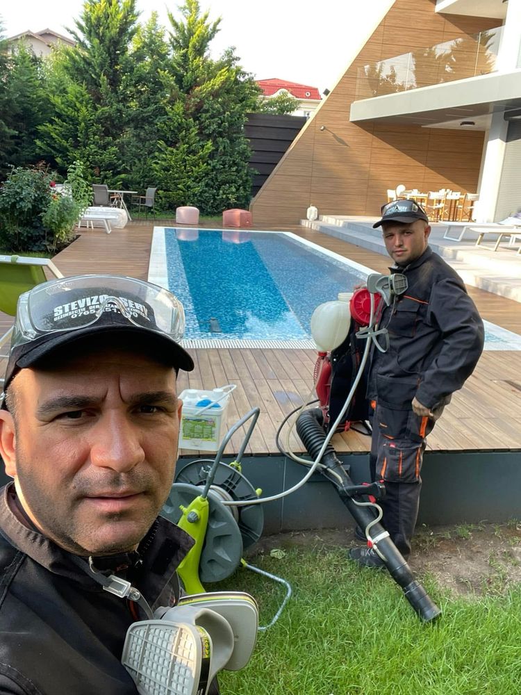 Servicii dezinsectie / deratizare