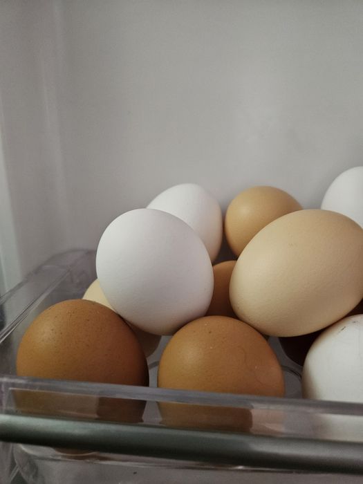 Домашни яйца от кокошки
