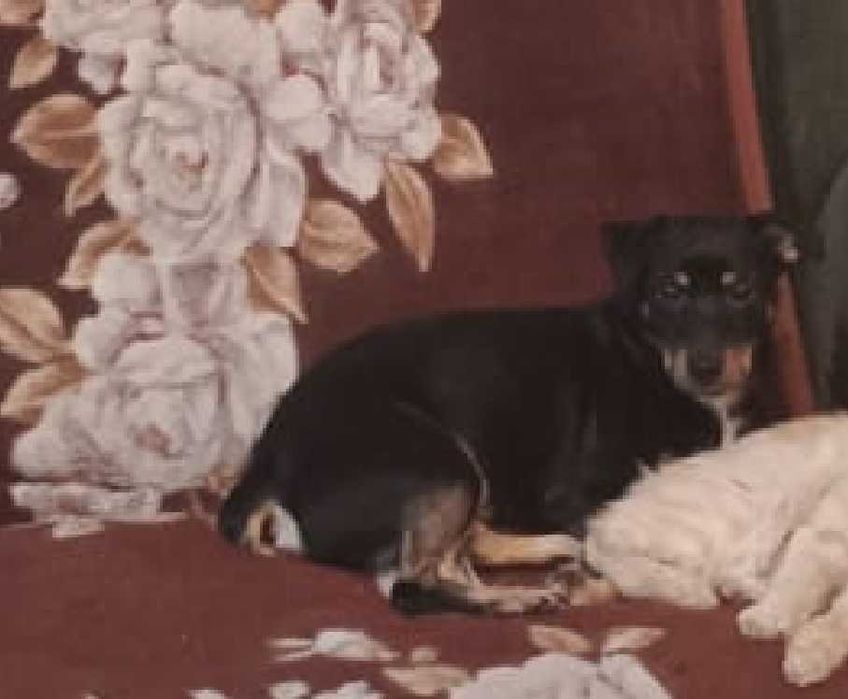 Пропала собака в районе Текстильщиков, магазин Пчелка