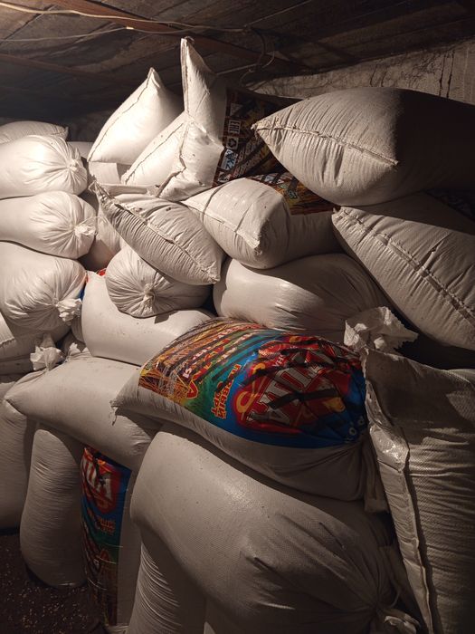 Продам ячмень в мешках, нынешнего года.