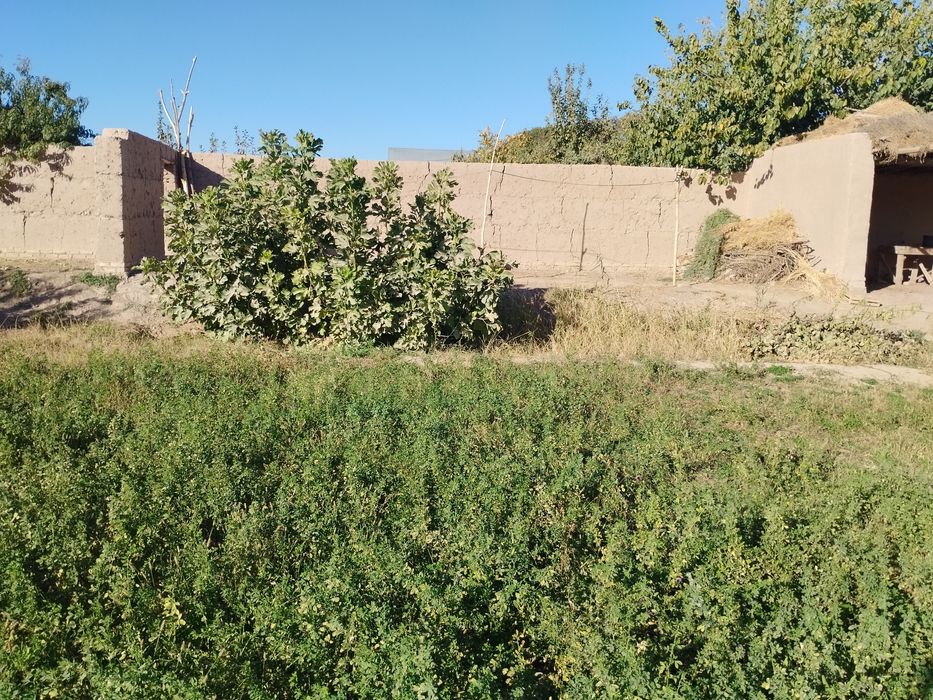 Er orni Турар жой орни