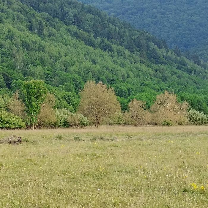 Vând teren zona turistica Breaza Făgăraș jud Brașov