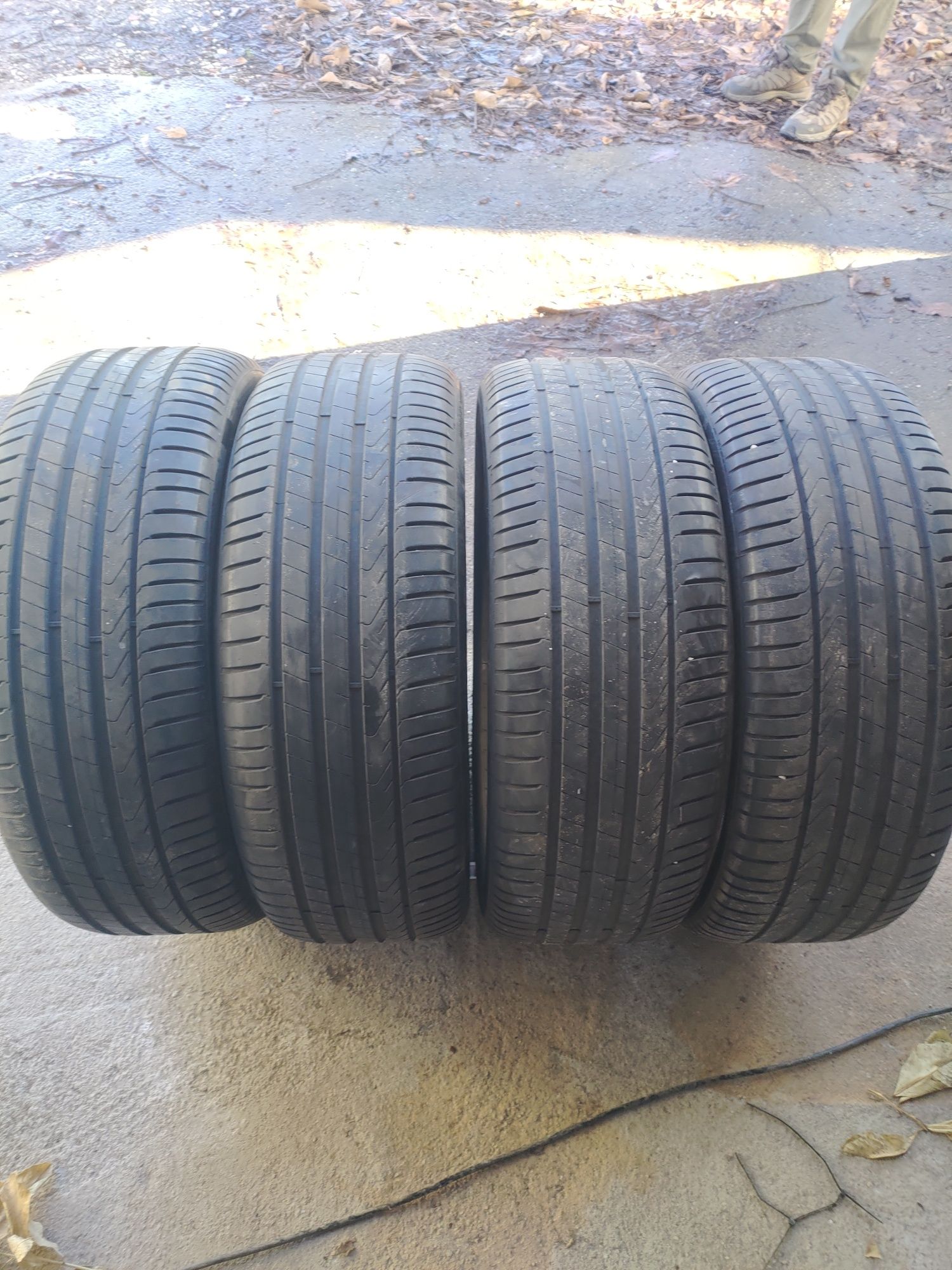 245.50.19 pirelli