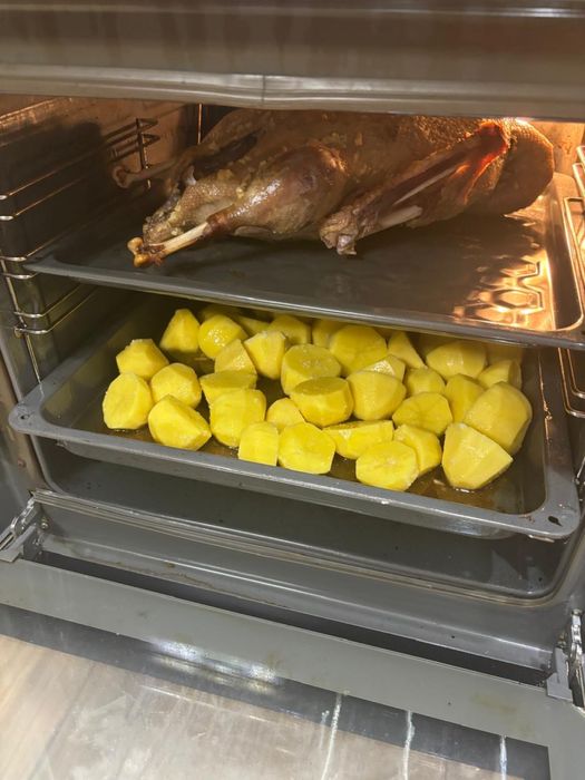 Продаем Гуси из Петпропавловска