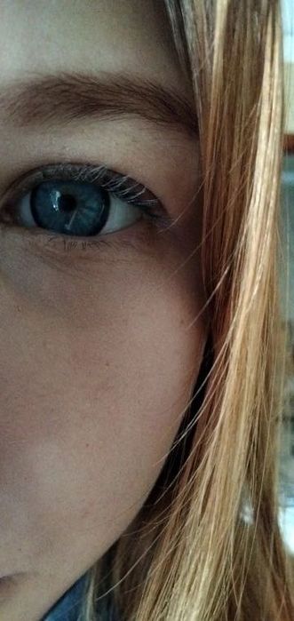 Цветни лещи едногодишни