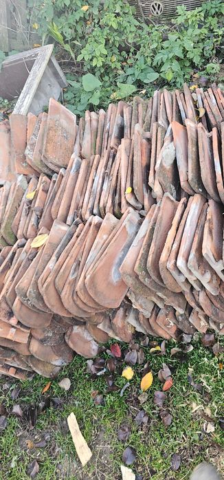Vand tigla solzi de peste in conditie buna.1 leu bucata