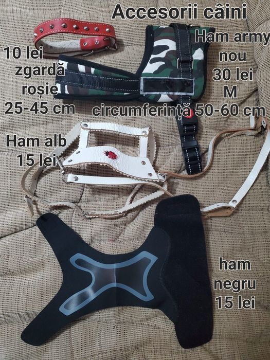 Haine,ham,lesă câini