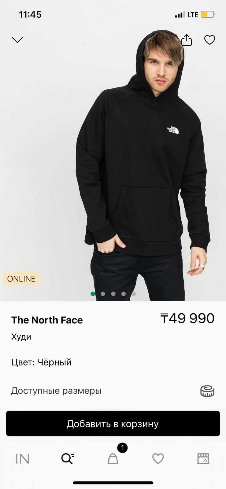 The north face оригинал