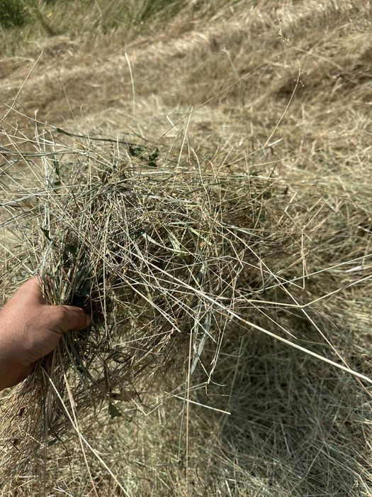 Бали сено и смеска