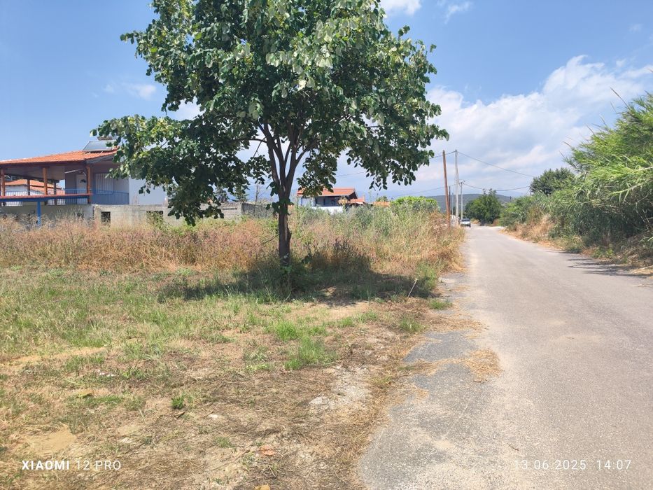 ПРОДАВА Земеделска земя в Паралия Каряни, Кавала