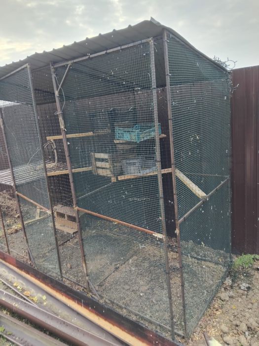 Vând cușcă porumbei